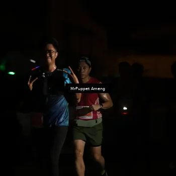 Runner Photo 4331698