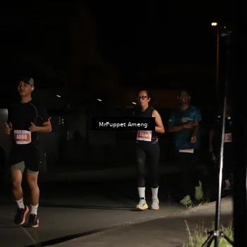 Runner Photo 4331699