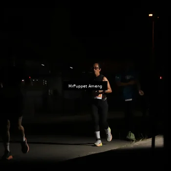 Runner Photo 4331701