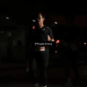 Runner Photo 4331707