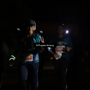 Runner Photo 4331719