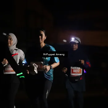 Runner Photo 4331721