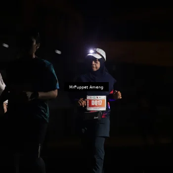 Runner Photo 4331725
