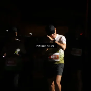 Runner Photo 4331735