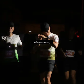 Runner Photo 4331739