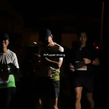 Runner Photo 4331740