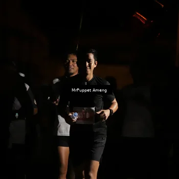 Runner Photo 4331741