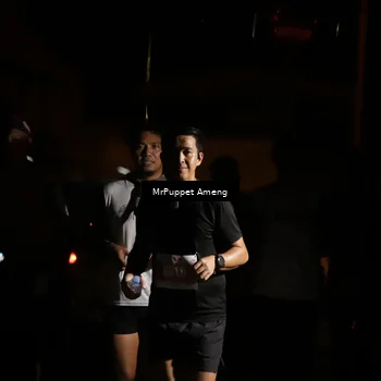 Runner Photo 4331742