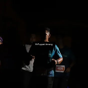 Runner Photo 4331758