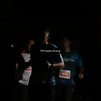 Runner Photo 4331760