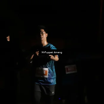 Runner Photo 4331761