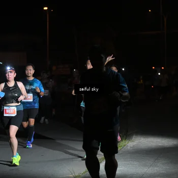 Runner Photo 4331763
