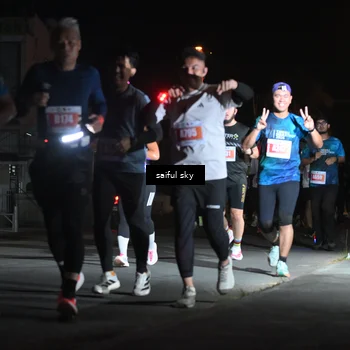 Runner Photo 4331764