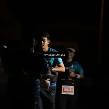 Runner Photo 4331773