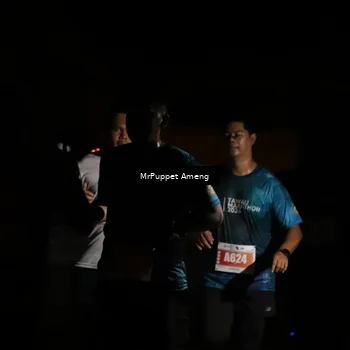 Runner Photo 4331775