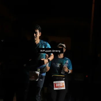 Runner Photo 4331776