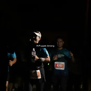 Runner Photo 4331777