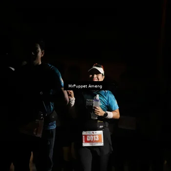 Runner Photo 4331791