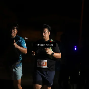 Runner Photo 4331796