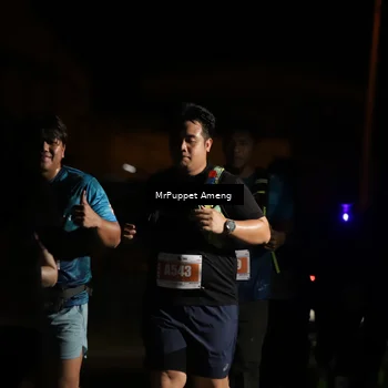 Runner Photo 4331797
