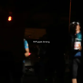 Runner Photo 4331801