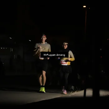 Runner Photo 4331804