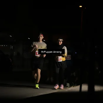 Runner Photo 4331805