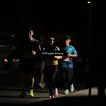 Runner Photo 4331807