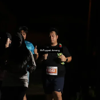 Runner Photo 4331809