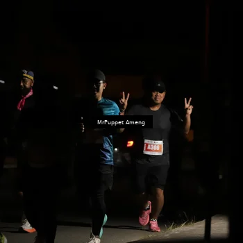 Runner Photo 4331810