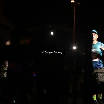 Runner Photo 4331838