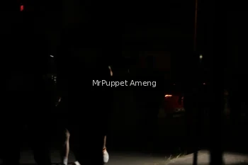 Runner Photo 4331856