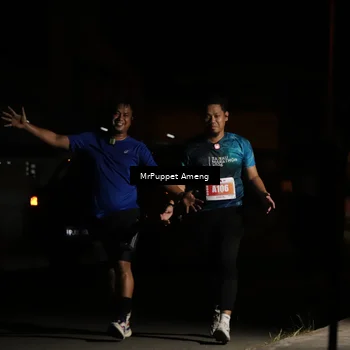 Runner Photo 4331858