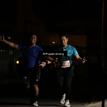Runner Photo 4331860