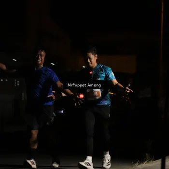 Runner Photo 4331863