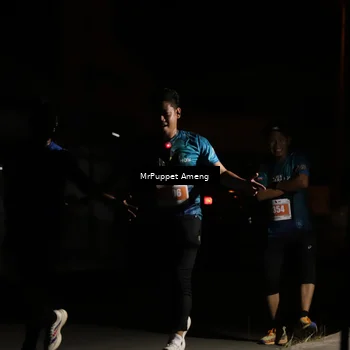 Runner Photo 4331864