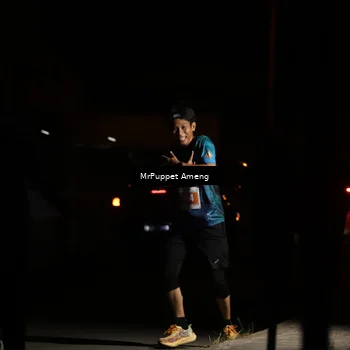 Runner Photo 4331866