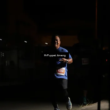 Runner Photo 4331871