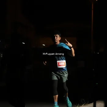 Runner Photo 4331873