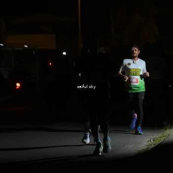 Runner Photo 4331874
