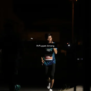 Runner Photo 4331875