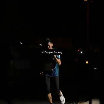 Runner Photo 4331886