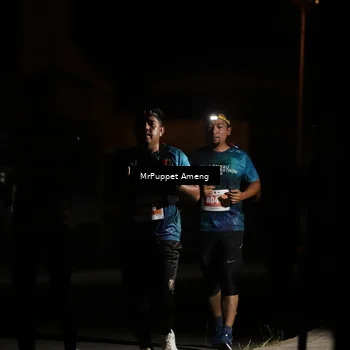 Runner Photo 4331904