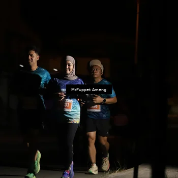 Runner Photo 4331909