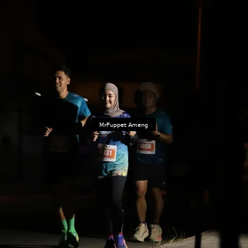 Runner Photo 4331911