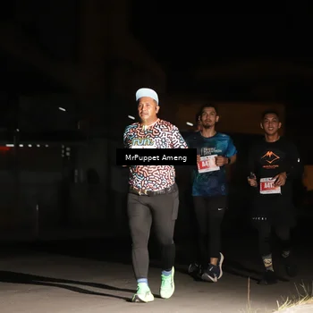 Runner Photo 4331912