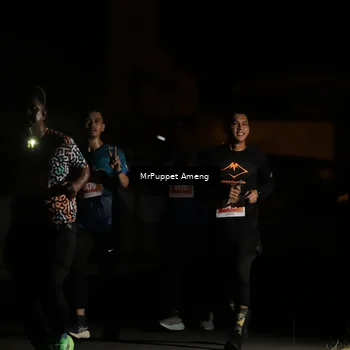 Runner Photo 4331914