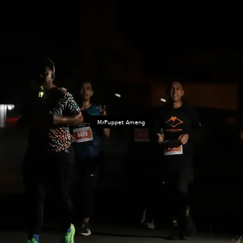 Runner Photo 4331922