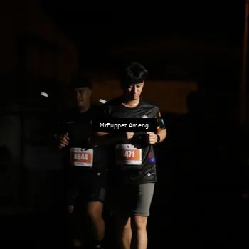 Runner Photo 4331923
