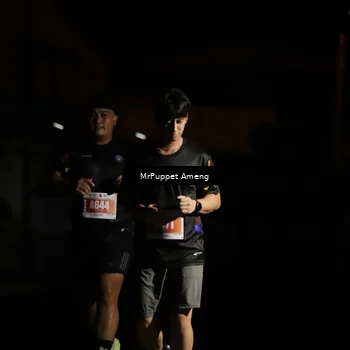 Runner Photo 4331924
